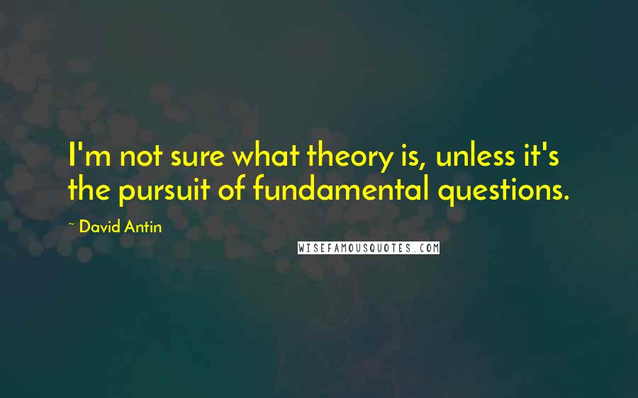 David Antin Quotes: I'm not sure what theory is, unless it's the pursuit of fundamental questions.