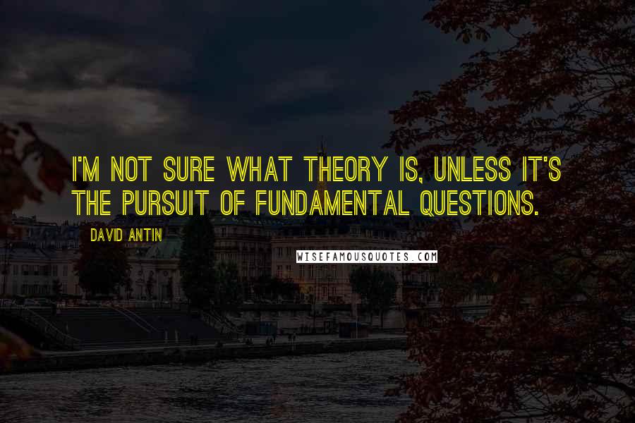 David Antin Quotes: I'm not sure what theory is, unless it's the pursuit of fundamental questions.