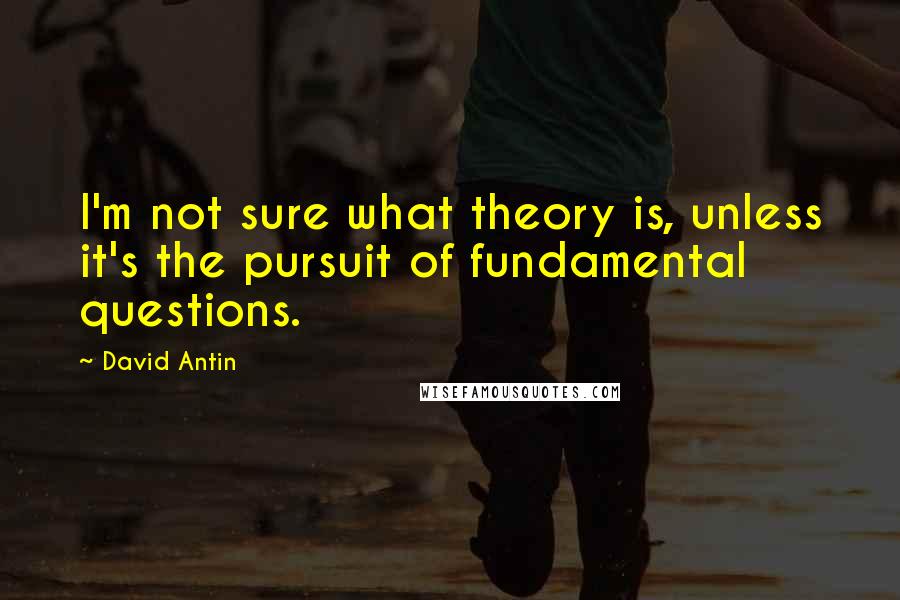 David Antin Quotes: I'm not sure what theory is, unless it's the pursuit of fundamental questions.