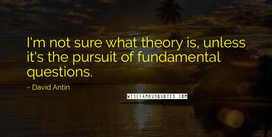 David Antin Quotes: I'm not sure what theory is, unless it's the pursuit of fundamental questions.