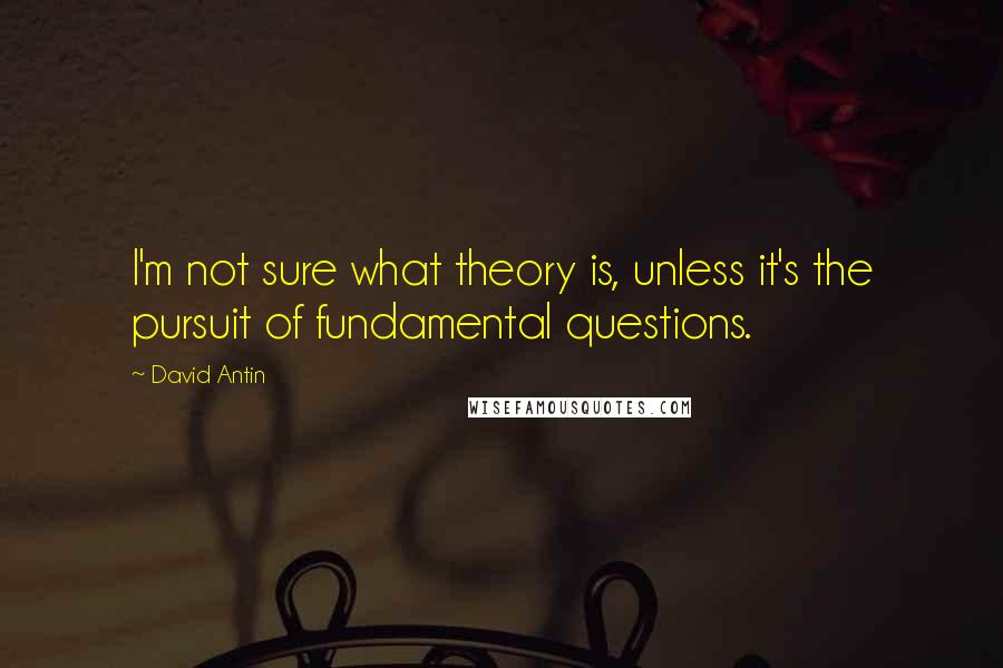 David Antin Quotes: I'm not sure what theory is, unless it's the pursuit of fundamental questions.