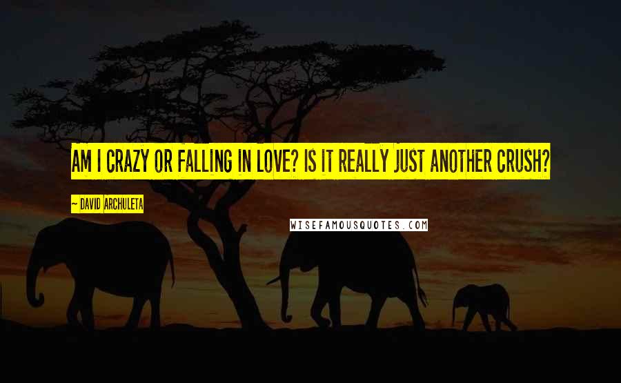 David Archuleta Quotes: Am I crazy or falling in love? Is it really just another crush?