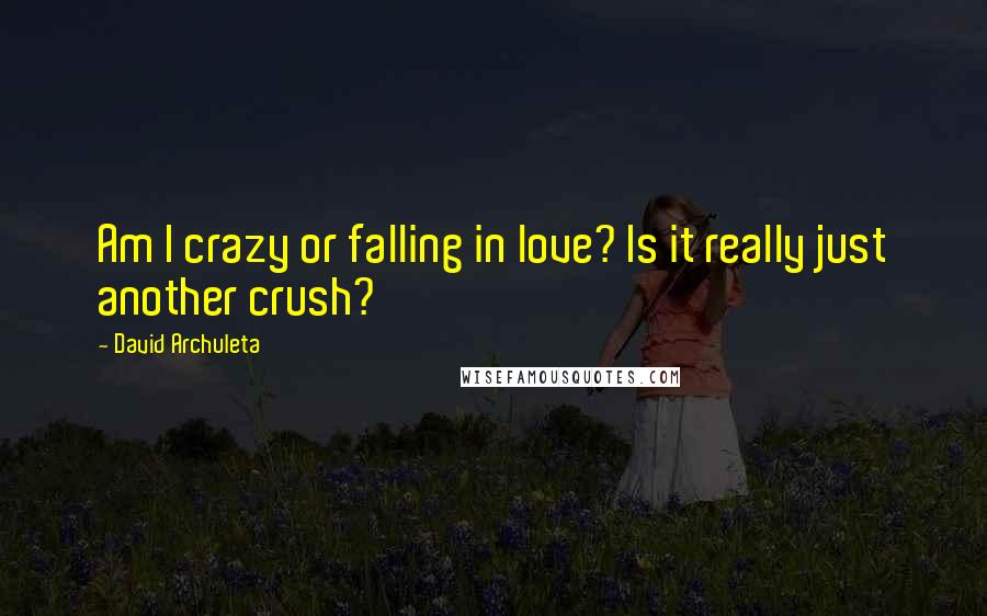 David Archuleta Quotes: Am I crazy or falling in love? Is it really just another crush?