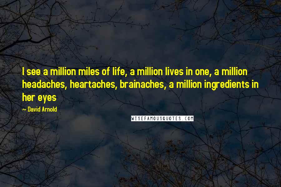 David Arnold Quotes: I see a million miles of life, a million lives in one, a million headaches, heartaches, brainaches, a million ingredients in her eyes