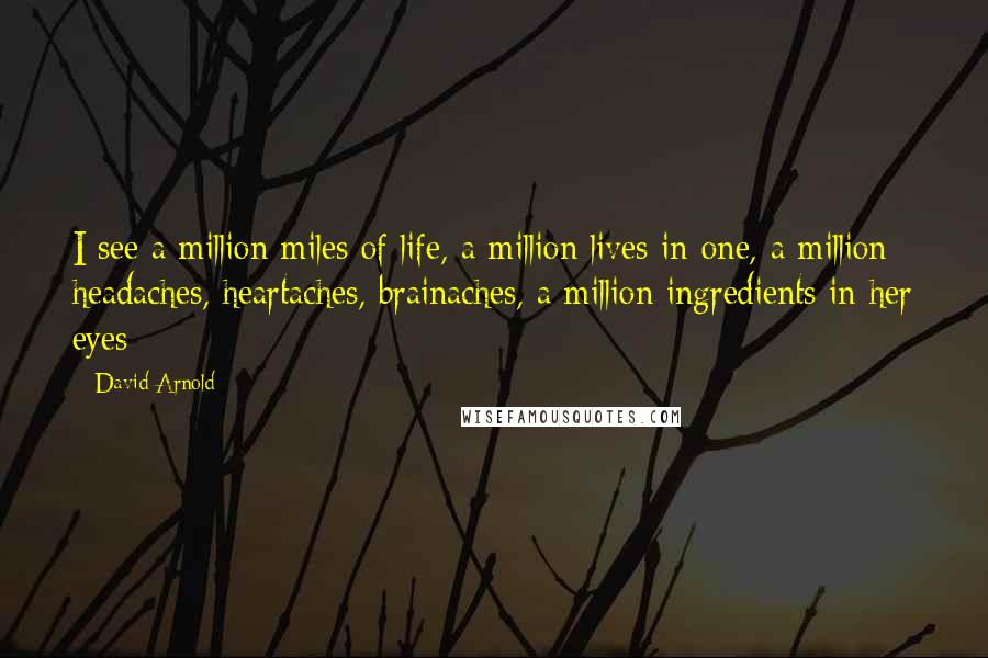 David Arnold Quotes: I see a million miles of life, a million lives in one, a million headaches, heartaches, brainaches, a million ingredients in her eyes