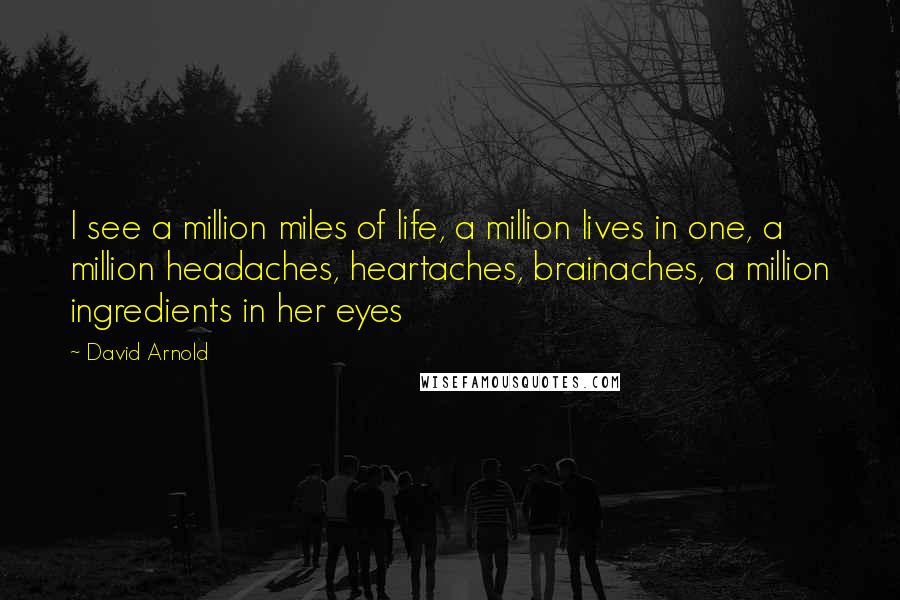 David Arnold Quotes: I see a million miles of life, a million lives in one, a million headaches, heartaches, brainaches, a million ingredients in her eyes