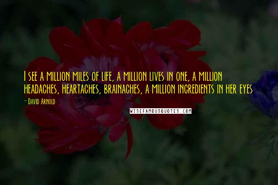 David Arnold Quotes: I see a million miles of life, a million lives in one, a million headaches, heartaches, brainaches, a million ingredients in her eyes