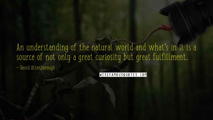 David Attenborough Quotes: An understanding of the natural world and what's in it is a source of not only a great curiosity but great fulfillment.