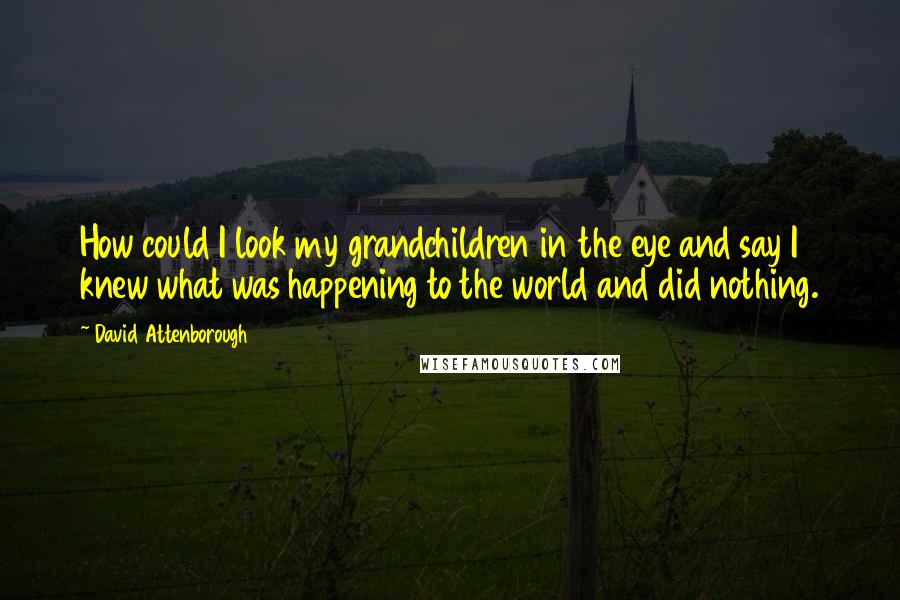 David Attenborough Quotes: How could I look my grandchildren in the eye and say I knew what was happening to the world and did nothing.