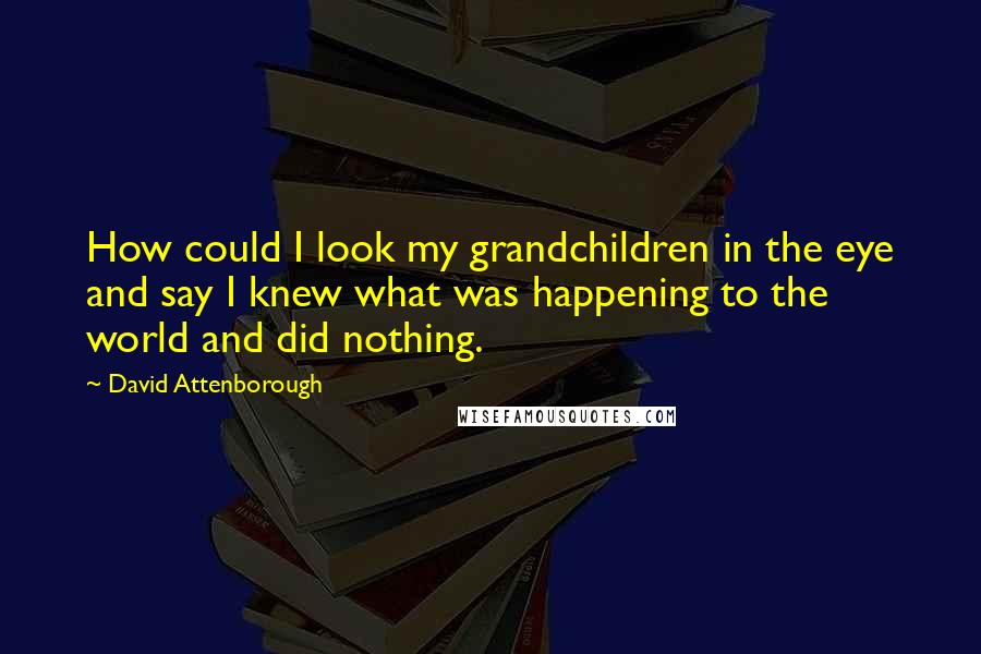 David Attenborough Quotes: How could I look my grandchildren in the eye and say I knew what was happening to the world and did nothing.