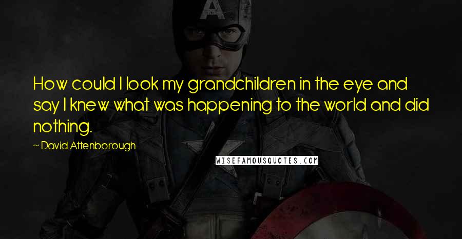 David Attenborough Quotes: How could I look my grandchildren in the eye and say I knew what was happening to the world and did nothing.