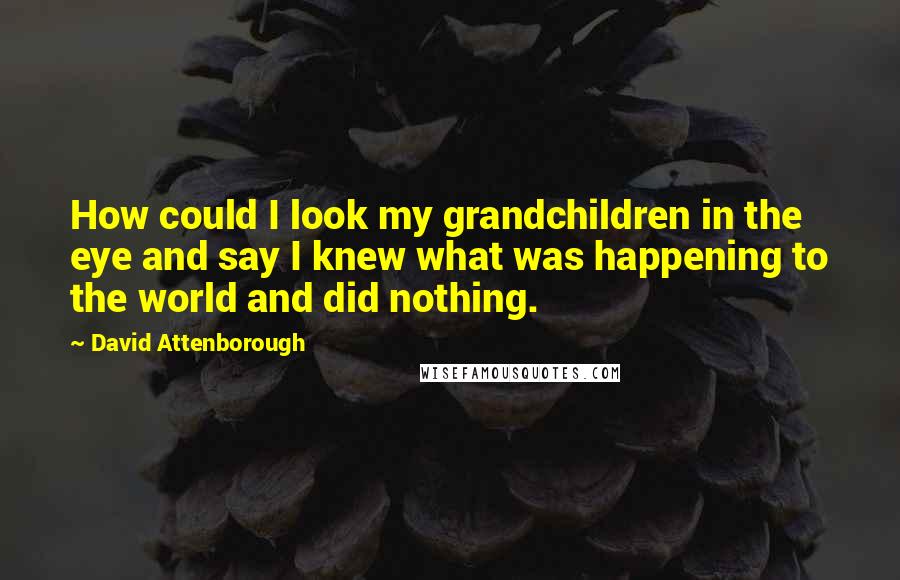David Attenborough Quotes: How could I look my grandchildren in the eye and say I knew what was happening to the world and did nothing.