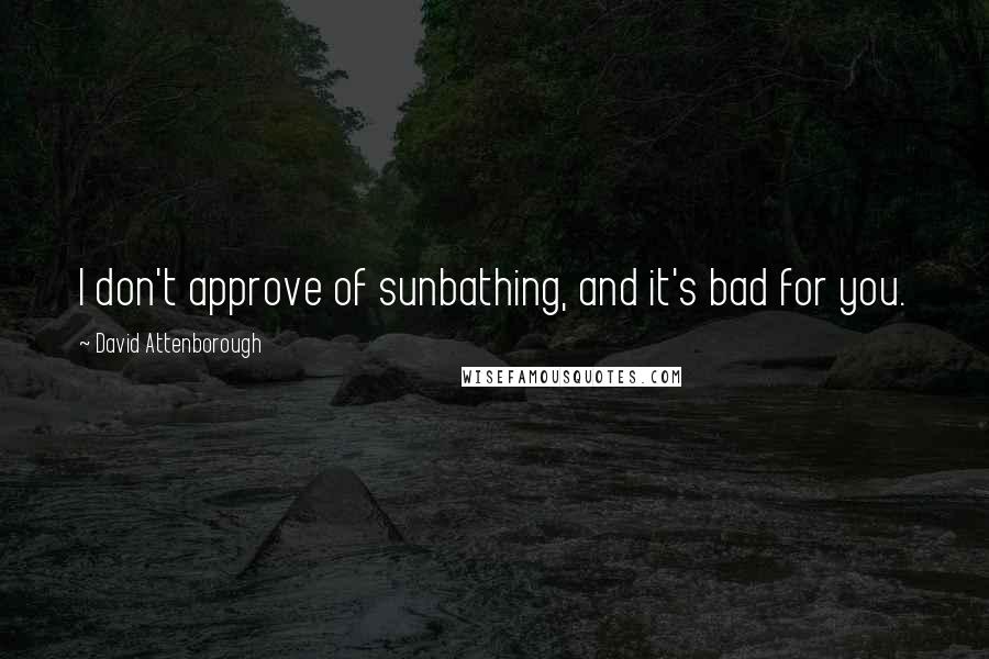 David Attenborough Quotes: I don't approve of sunbathing, and it's bad for you.