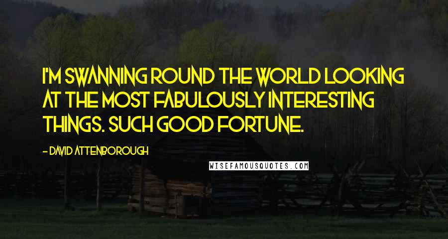 David Attenborough Quotes: I'm swanning round the world looking at the most fabulously interesting things. Such good fortune.