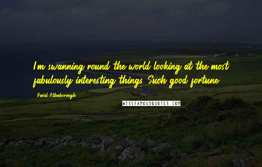 David Attenborough Quotes: I'm swanning round the world looking at the most fabulously interesting things. Such good fortune.