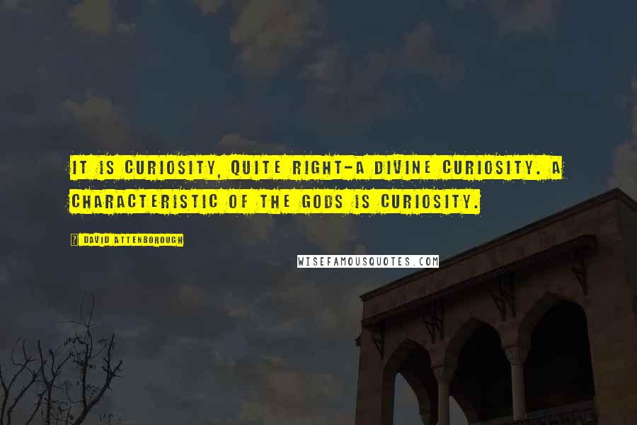 David Attenborough Quotes: It is curiosity, quite right-a divine curiosity. A characteristic of the gods is curiosity.