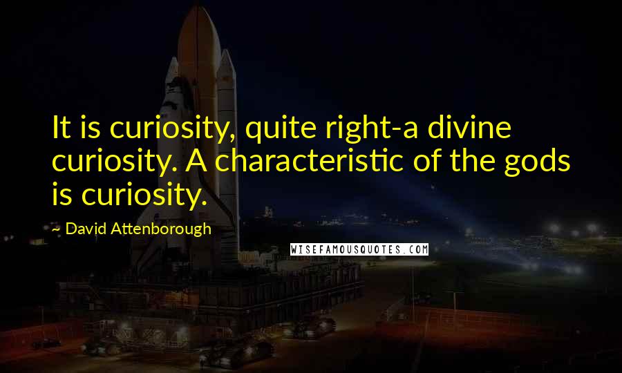 David Attenborough Quotes: It is curiosity, quite right-a divine curiosity. A characteristic of the gods is curiosity.