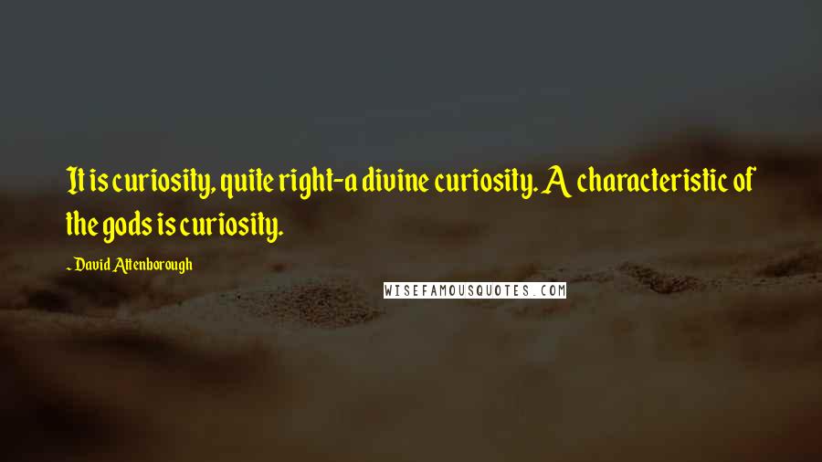 David Attenborough Quotes: It is curiosity, quite right-a divine curiosity. A characteristic of the gods is curiosity.