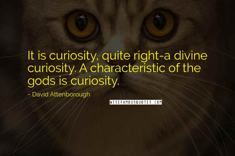 David Attenborough Quotes: It is curiosity, quite right-a divine curiosity. A characteristic of the gods is curiosity.