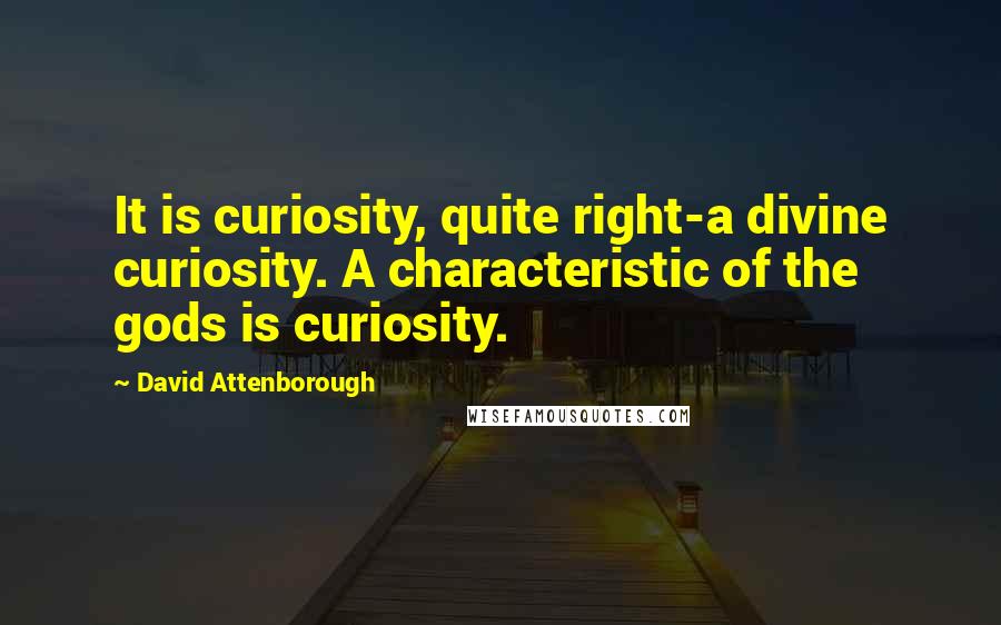 David Attenborough Quotes: It is curiosity, quite right-a divine curiosity. A characteristic of the gods is curiosity.