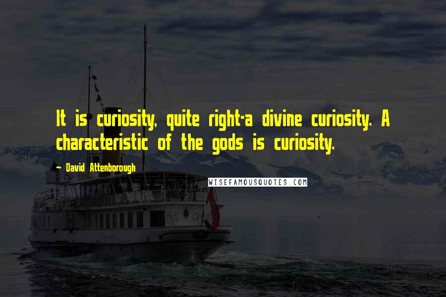 David Attenborough Quotes: It is curiosity, quite right-a divine curiosity. A characteristic of the gods is curiosity.