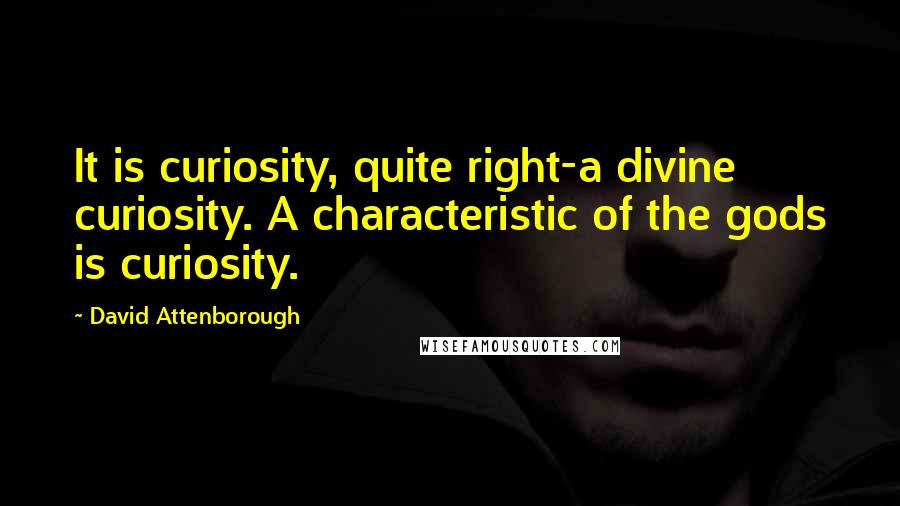 David Attenborough Quotes: It is curiosity, quite right-a divine curiosity. A characteristic of the gods is curiosity.