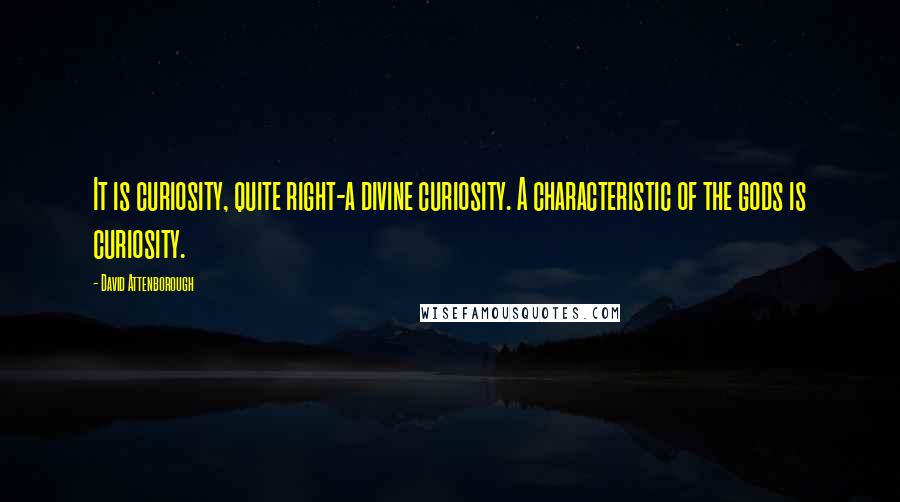 David Attenborough Quotes: It is curiosity, quite right-a divine curiosity. A characteristic of the gods is curiosity.