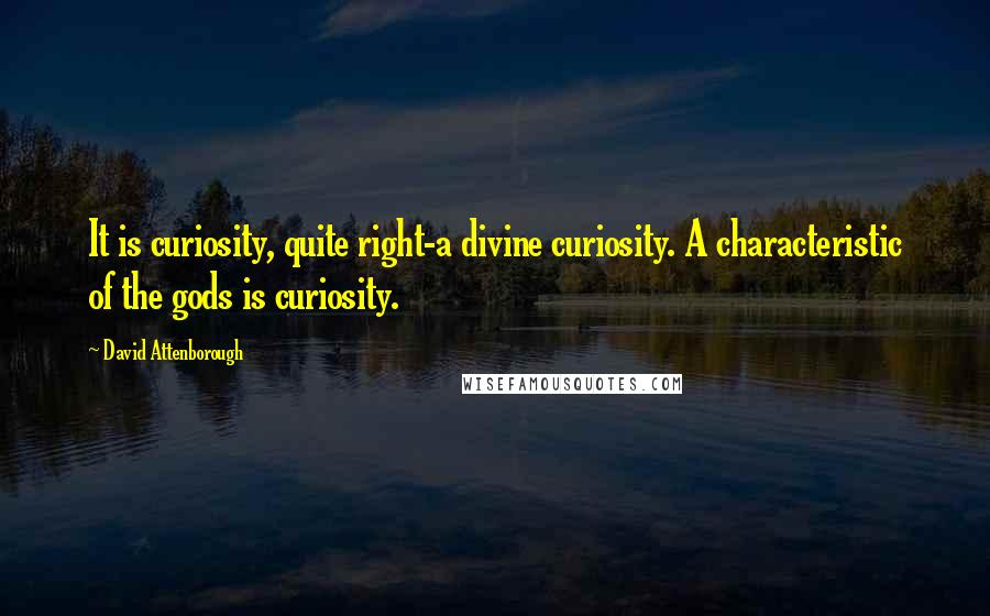 David Attenborough Quotes: It is curiosity, quite right-a divine curiosity. A characteristic of the gods is curiosity.