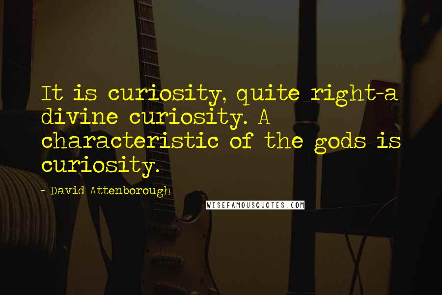 David Attenborough Quotes: It is curiosity, quite right-a divine curiosity. A characteristic of the gods is curiosity.