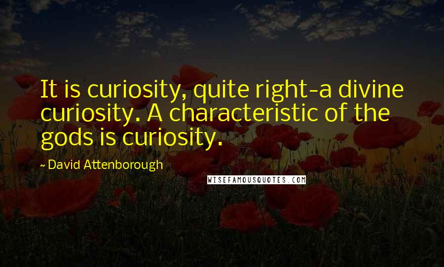 David Attenborough Quotes: It is curiosity, quite right-a divine curiosity. A characteristic of the gods is curiosity.