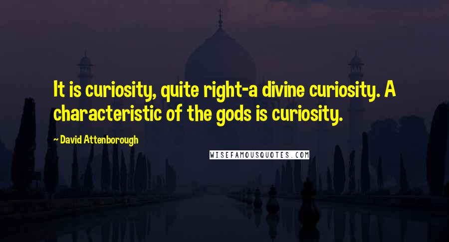 David Attenborough Quotes: It is curiosity, quite right-a divine curiosity. A characteristic of the gods is curiosity.