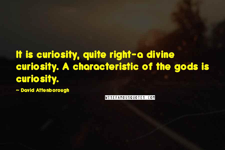 David Attenborough Quotes: It is curiosity, quite right-a divine curiosity. A characteristic of the gods is curiosity.