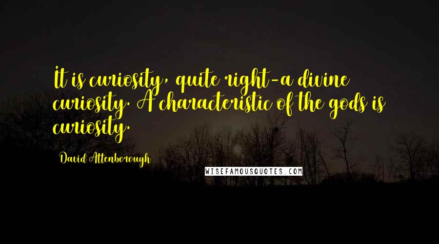 David Attenborough Quotes: It is curiosity, quite right-a divine curiosity. A characteristic of the gods is curiosity.