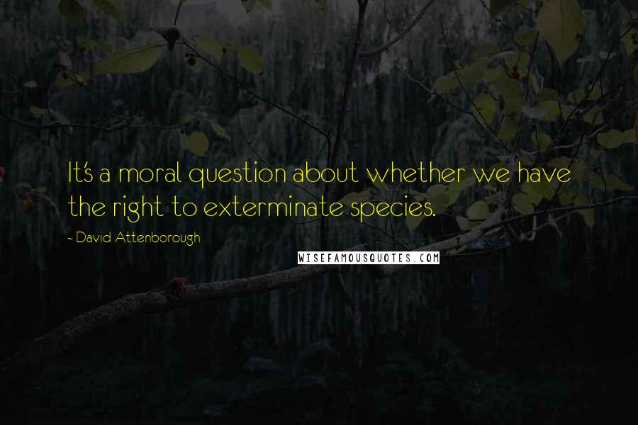 David Attenborough Quotes: It's a moral question about whether we have the right to exterminate species.