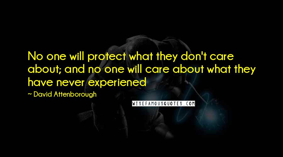 David Attenborough Quotes: No one will protect what they don't care about; and no one will care about what they have never experiened