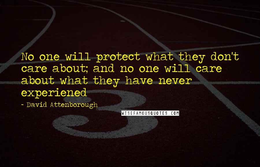 David Attenborough Quotes: No one will protect what they don't care about; and no one will care about what they have never experiened