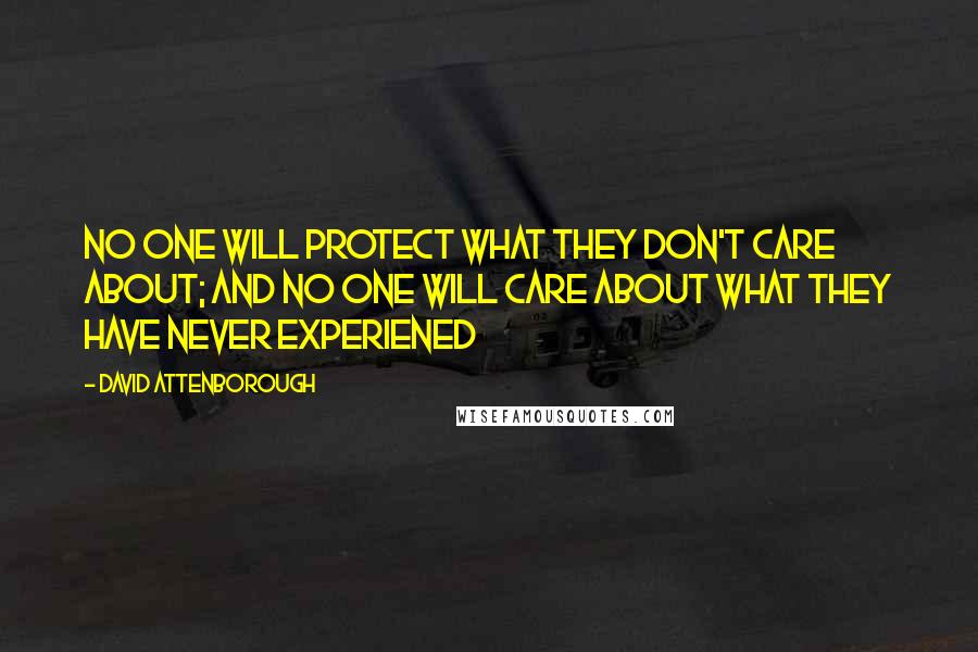 David Attenborough Quotes: No one will protect what they don't care about; and no one will care about what they have never experiened