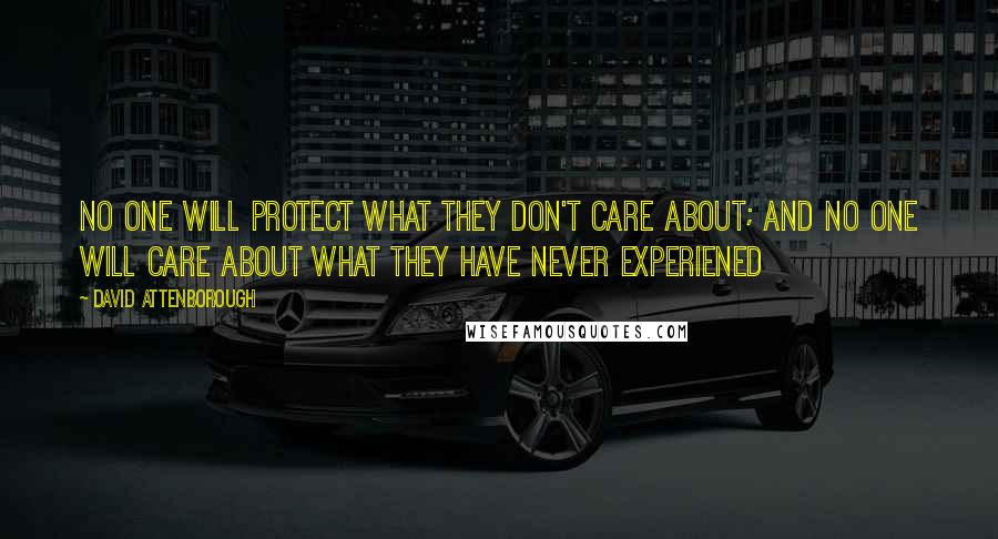 David Attenborough Quotes: No one will protect what they don't care about; and no one will care about what they have never experiened