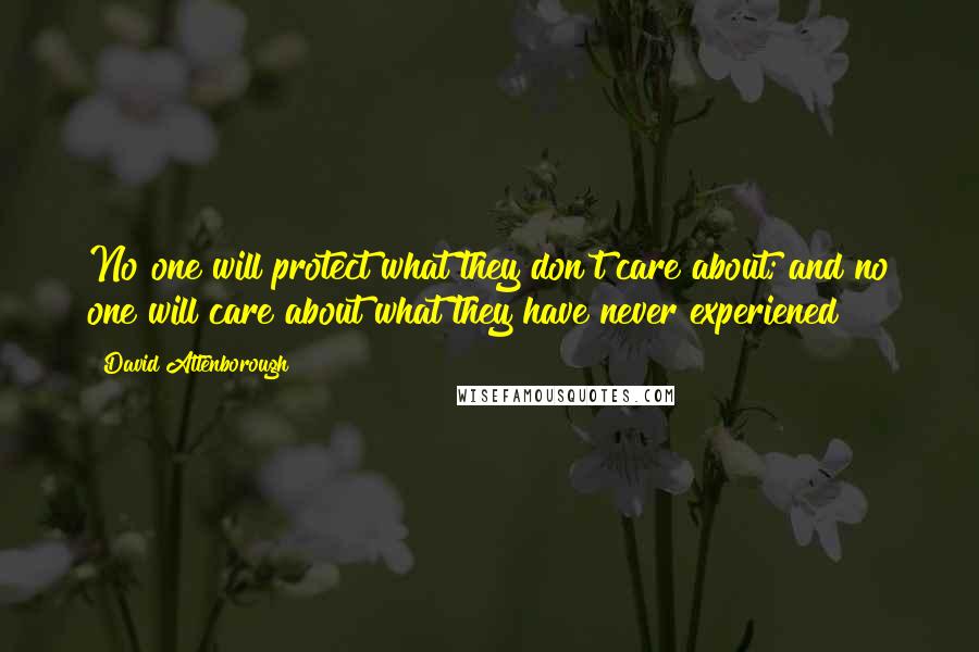 David Attenborough Quotes: No one will protect what they don't care about; and no one will care about what they have never experiened