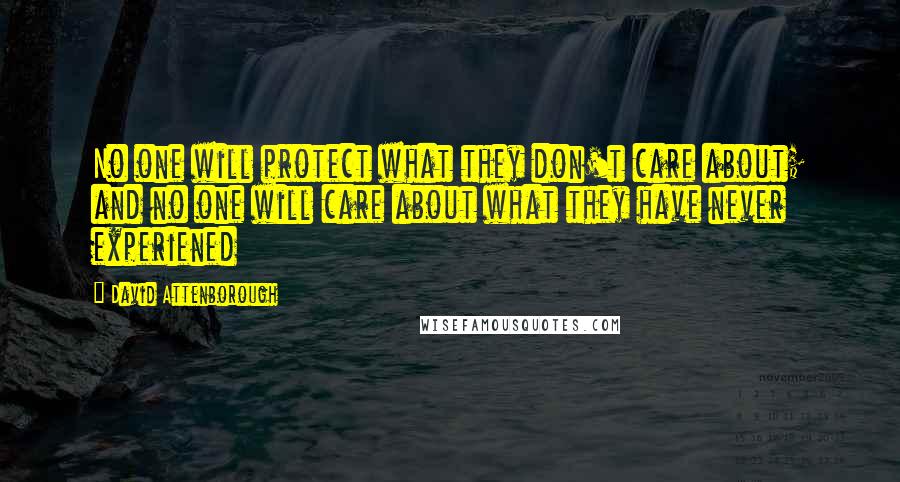 David Attenborough Quotes: No one will protect what they don't care about; and no one will care about what they have never experiened