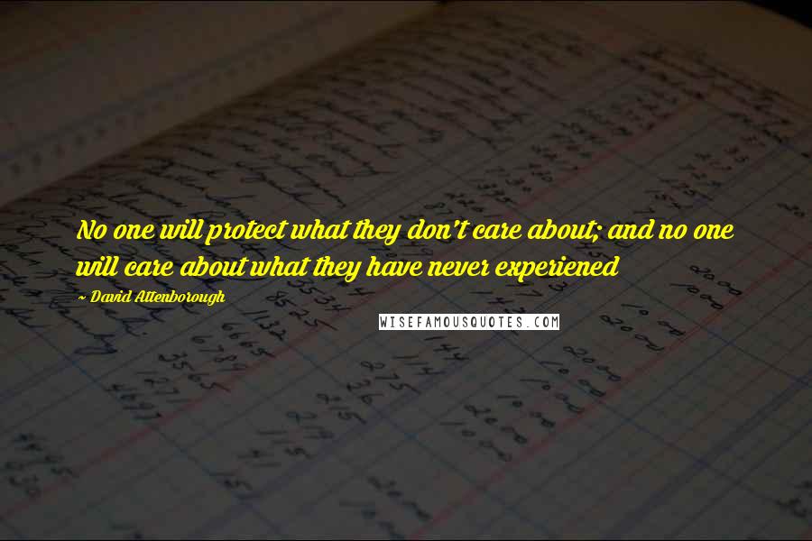 David Attenborough Quotes: No one will protect what they don't care about; and no one will care about what they have never experiened