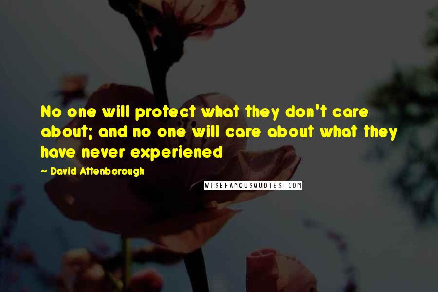 David Attenborough Quotes: No one will protect what they don't care about; and no one will care about what they have never experiened