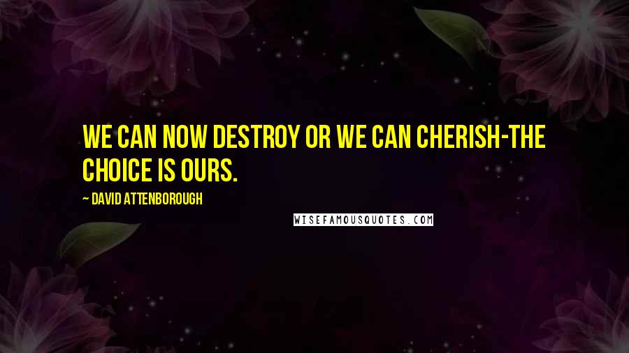 David Attenborough Quotes: We can now destroy or we can cherish-the choice is ours.