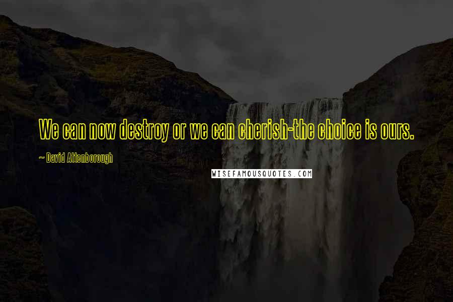 David Attenborough Quotes: We can now destroy or we can cherish-the choice is ours.
