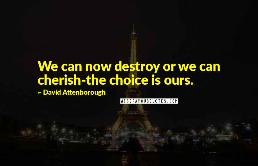 David Attenborough Quotes: We can now destroy or we can cherish-the choice is ours.