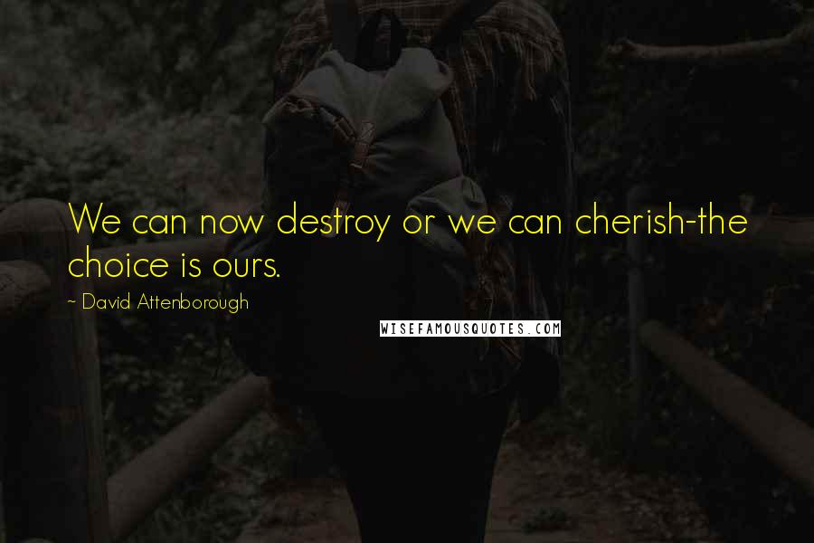 David Attenborough Quotes: We can now destroy or we can cherish-the choice is ours.