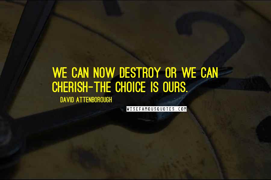 David Attenborough Quotes: We can now destroy or we can cherish-the choice is ours.