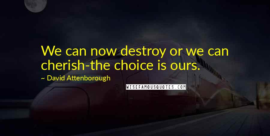 David Attenborough Quotes: We can now destroy or we can cherish-the choice is ours.