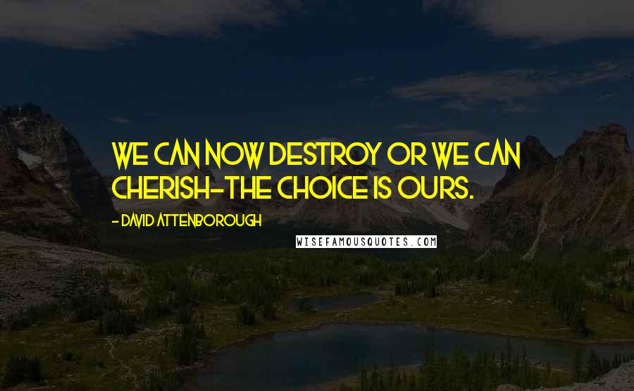 David Attenborough Quotes: We can now destroy or we can cherish-the choice is ours.