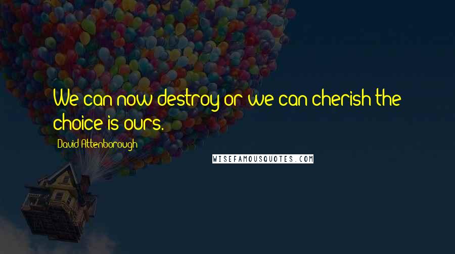 David Attenborough Quotes: We can now destroy or we can cherish-the choice is ours.